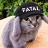 Матрикс[Котозаец FATAL]