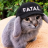 Матрикс[Котозаец FATAL]